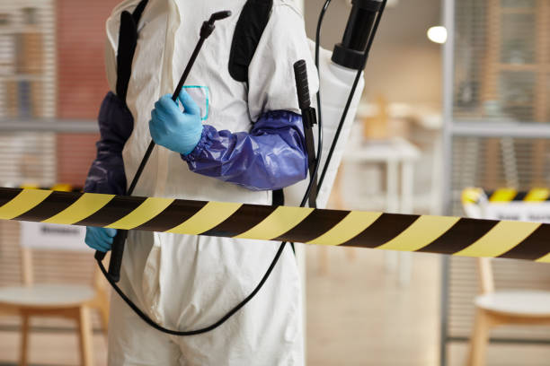 Professional Sewage Cleanup technician working in Brainard, NE